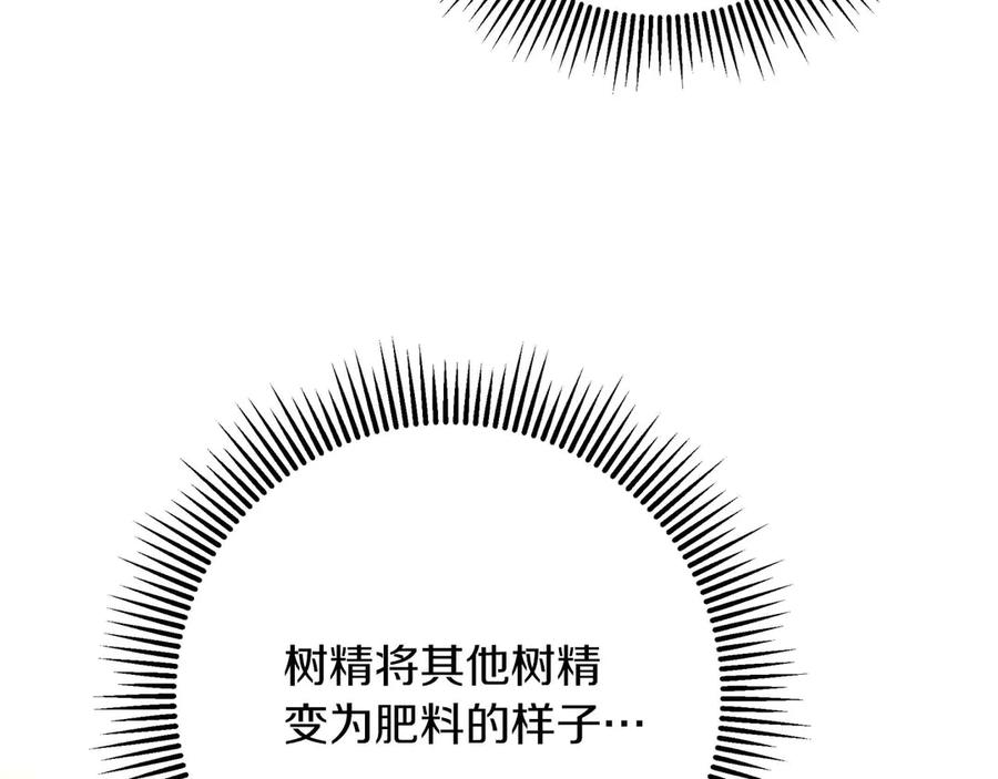 《钻石小姐历险记》第76话 成长后的小树精 第146页