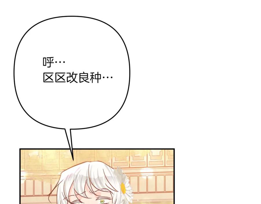 《钻石小姐历险记》第76话 成长后的小树精 第78页