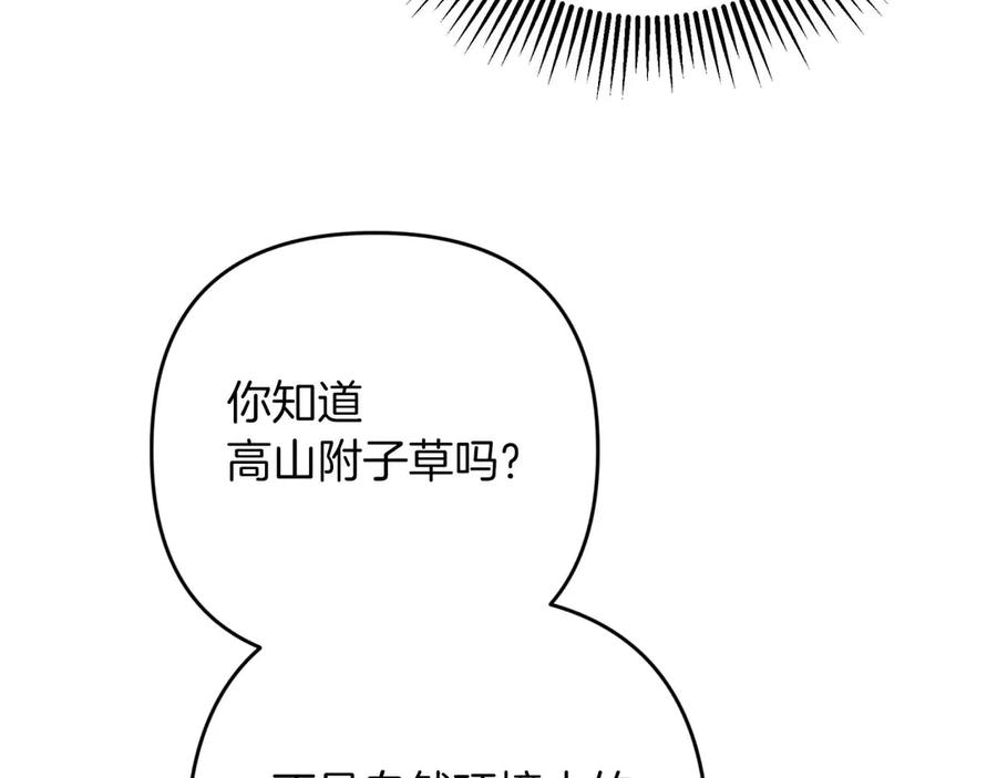 《钻石小姐历险记》第77话 愤怒的梅斯基特 第132页