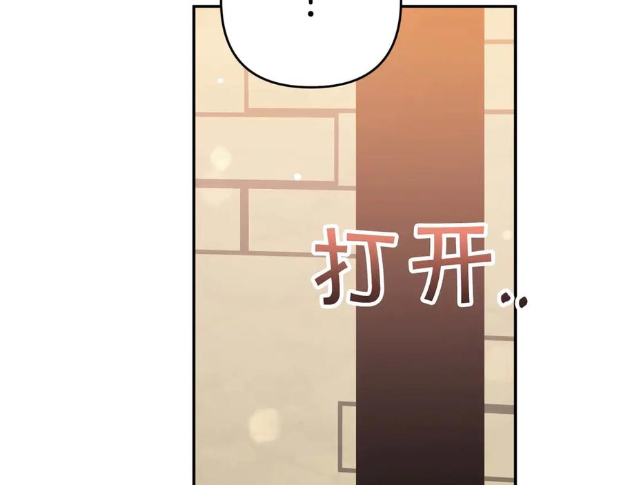 《钻石小姐历险记》第77话 愤怒的梅斯基特 第107页