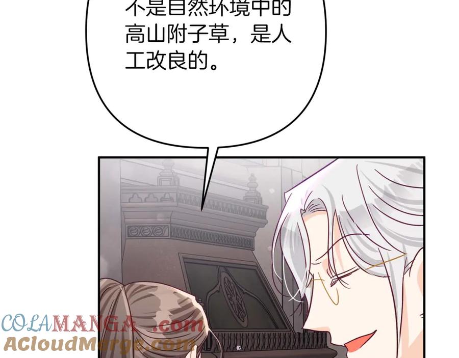 《钻石小姐历险记》第77话 愤怒的梅斯基特 第133页