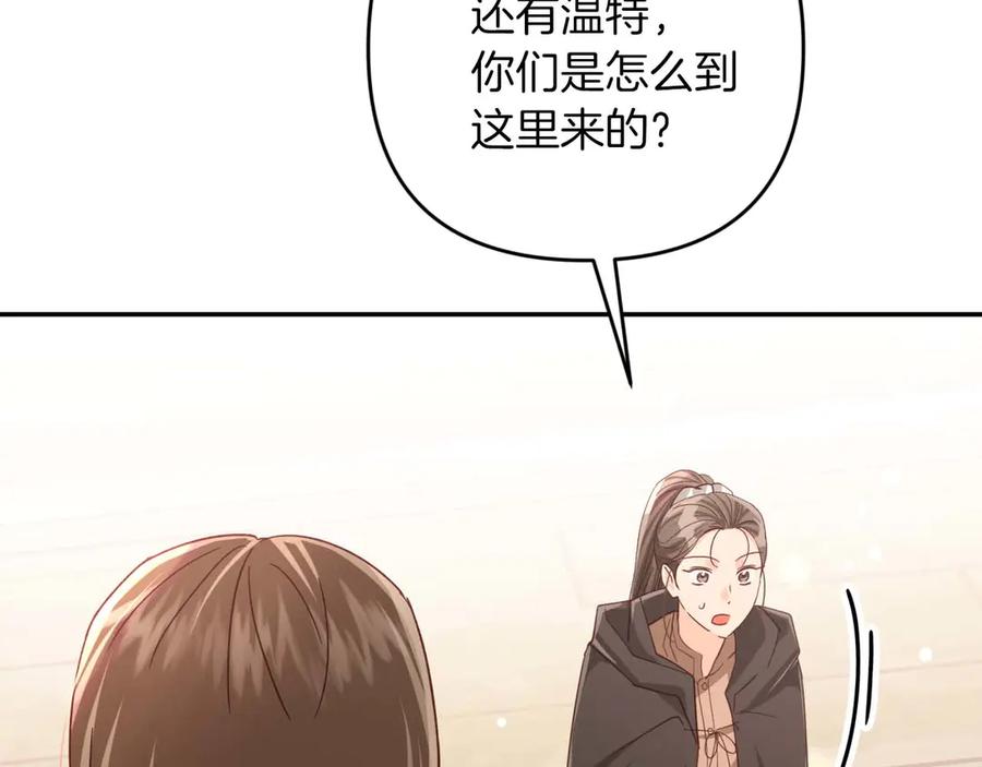 《钻石小姐历险记》第77话 愤怒的梅斯基特 第18页