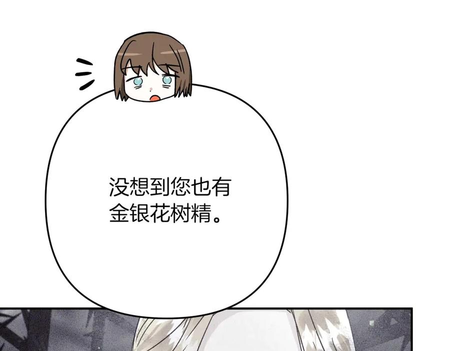 《钻石小姐历险记》第77话 愤怒的梅斯基特 第96页