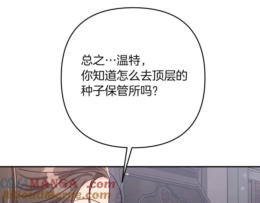 《钻石小姐历险记》第77话 愤怒的梅斯基特 第205页