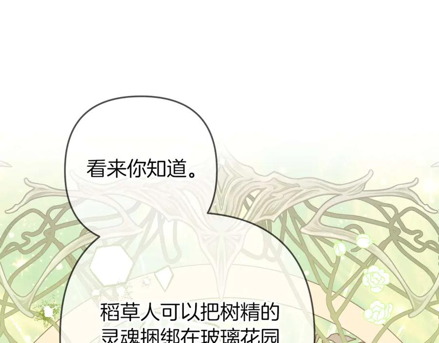《钻石小姐历险记》第77话 愤怒的梅斯基特 第47页