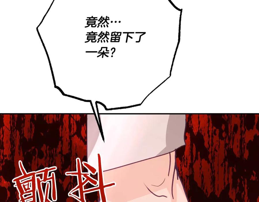 《钻石小姐历险记》第77话 愤怒的梅斯基特 第152页