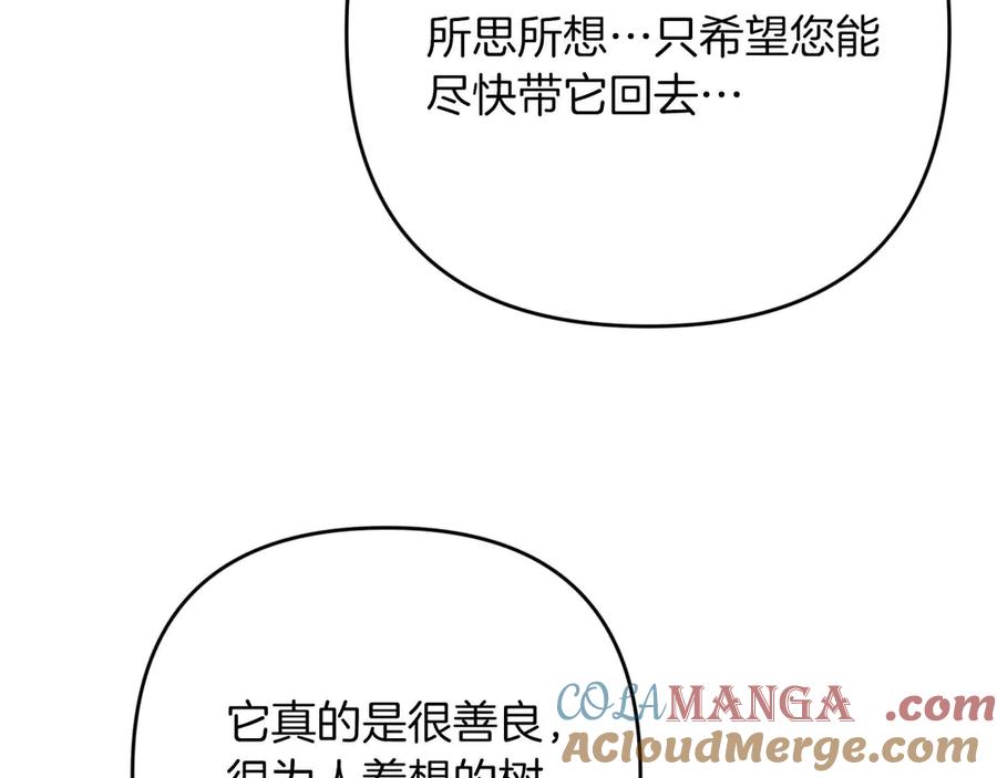 《钻石小姐历险记》第77话 愤怒的梅斯基特 第101页