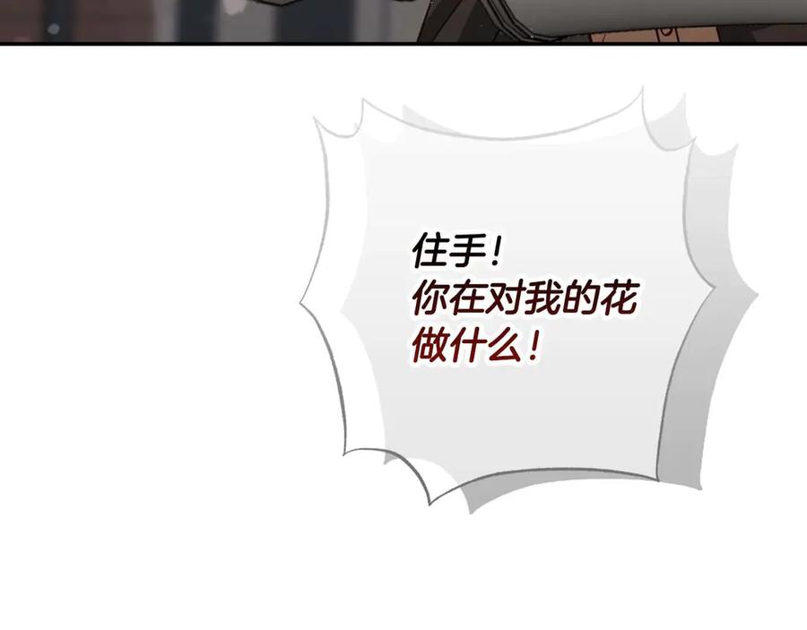 《钻石小姐历险记》第77话 愤怒的梅斯基特 第170页
