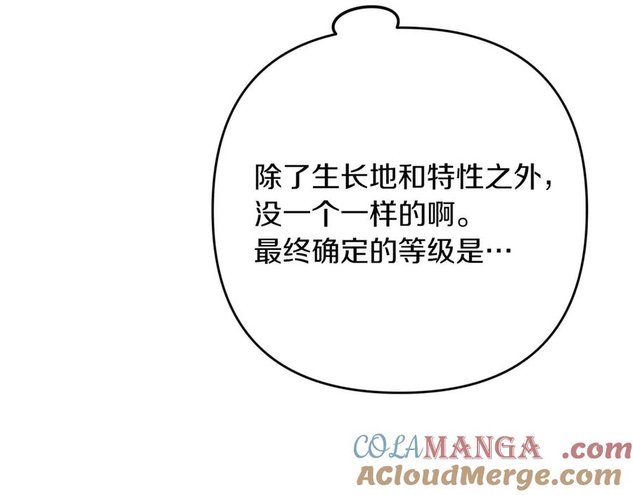 《钻石小姐历险记》第78话 关于我闯入敌人大本营后遇到个傻树精这件事 第213页