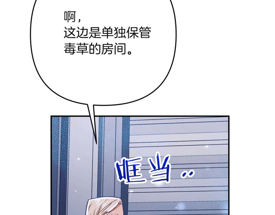 《钻石小姐历险记》第78话 关于我闯入敌人大本营后遇到个傻树精这件事 第166页
