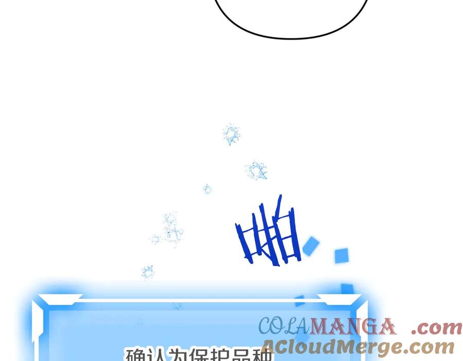 《钻石小姐历险记》第78话 关于我闯入敌人大本营后遇到个傻树精这件事 第77页