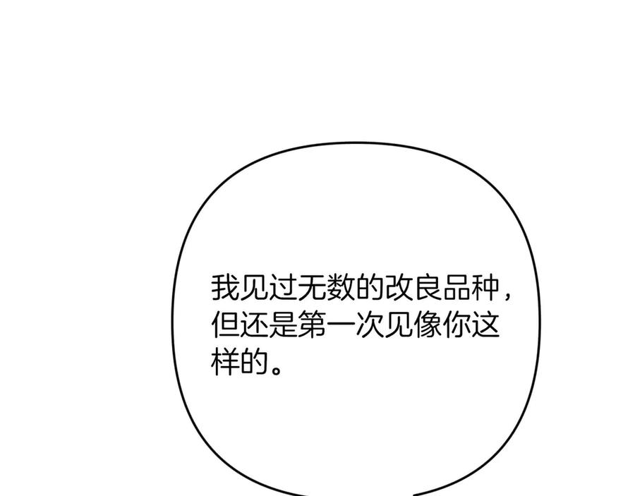 《钻石小姐历险记》第78话 关于我闯入敌人大本营后遇到个傻树精这件事 第155页