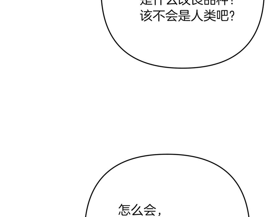 《钻石小姐历险记》第78话 关于我闯入敌人大本营后遇到个傻树精这件事 第124页