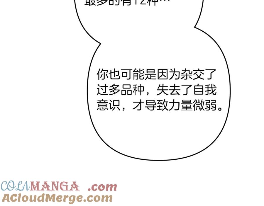 《钻石小姐历险记》第78话 关于我闯入敌人大本营后遇到个傻树精这件事 第161页