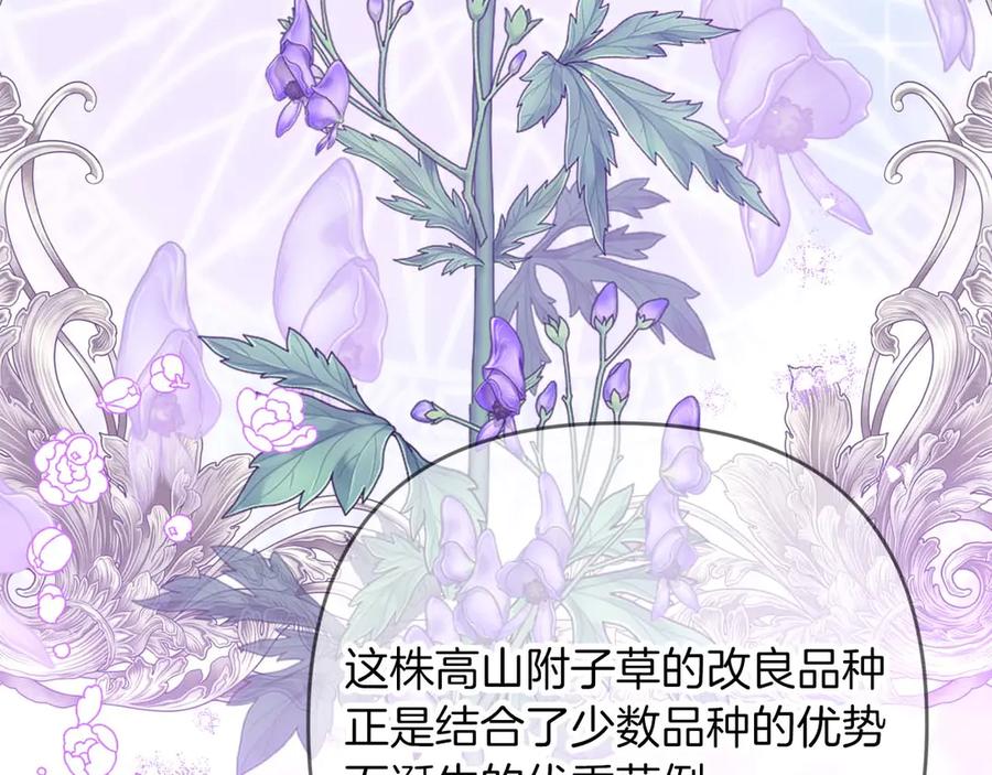 《钻石小姐历险记》第78话 关于我闯入敌人大本营后遇到个傻树精这件事 第164页