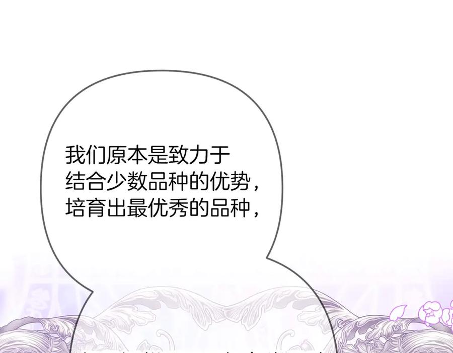 《钻石小姐历险记》第78话 关于我闯入敌人大本营后遇到个傻树精这件事 第162页