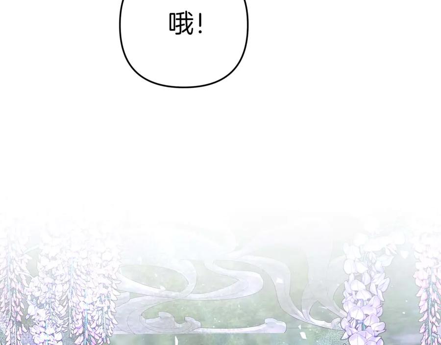 《钻石小姐历险记》第78话 关于我闯入敌人大本营后遇到个傻树精这件事 第66页