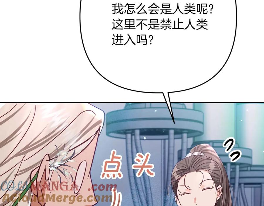 《钻石小姐历险记》第78话 关于我闯入敌人大本营后遇到个傻树精这件事 第125页