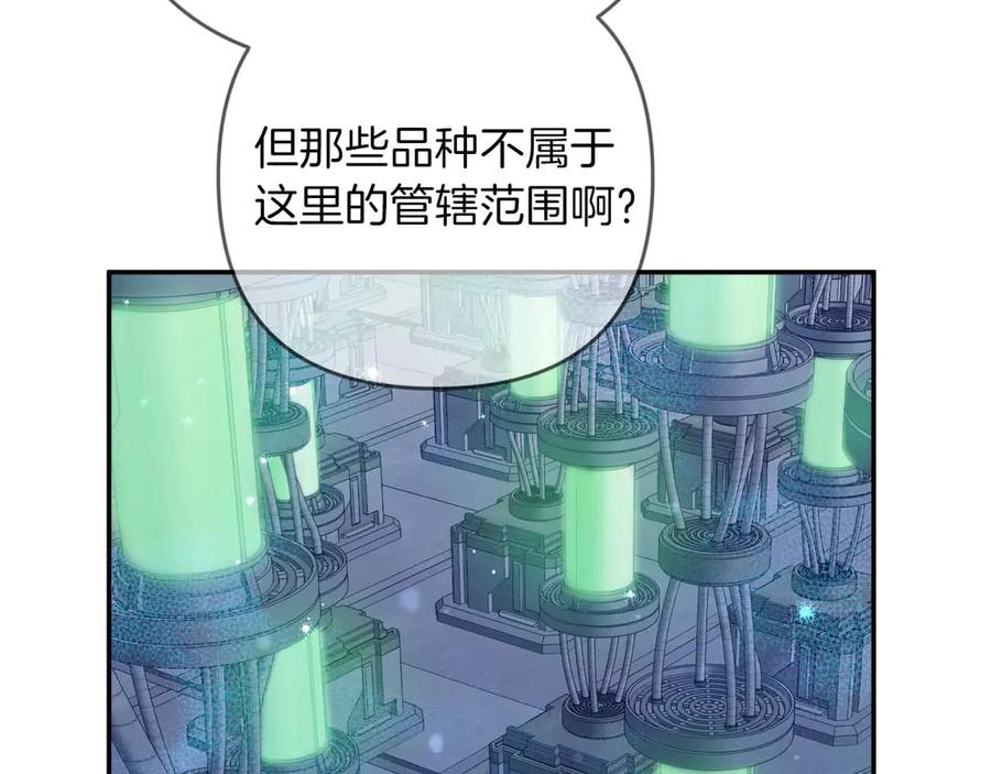 《钻石小姐历险记》第78话 关于我闯入敌人大本营后遇到个傻树精这件事 第146页