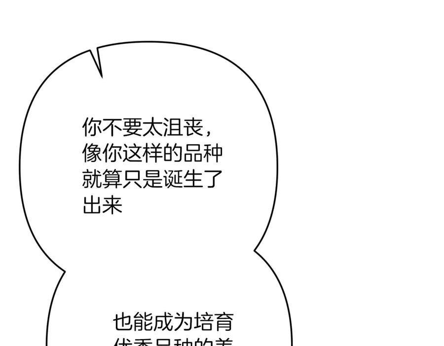《钻石小姐历险记》第78话 关于我闯入敌人大本营后遇到个傻树精这件事 第151页