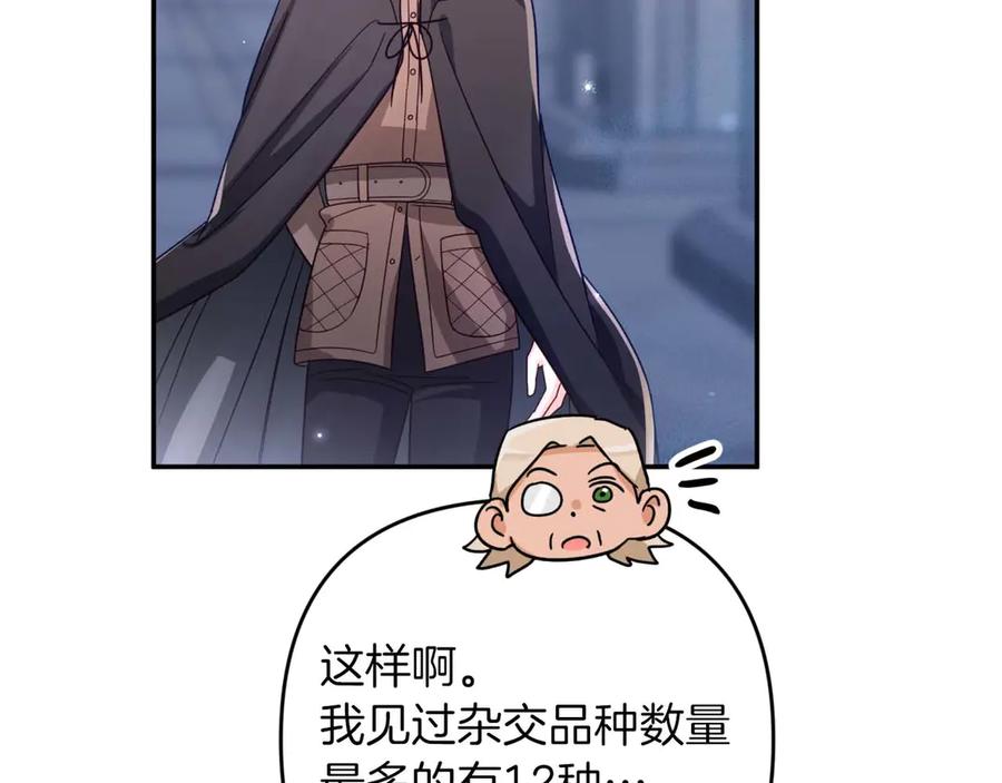 《钻石小姐历险记》第78话 关于我闯入敌人大本营后遇到个傻树精这件事 第160页