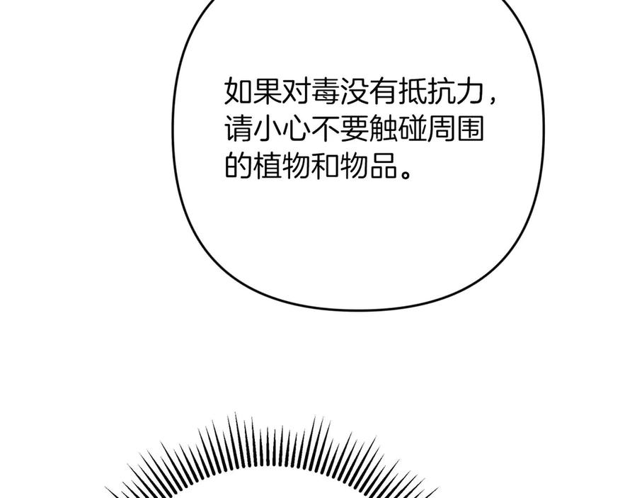 《钻石小姐历险记》第78话 关于我闯入敌人大本营后遇到个傻树精这件事 第168页