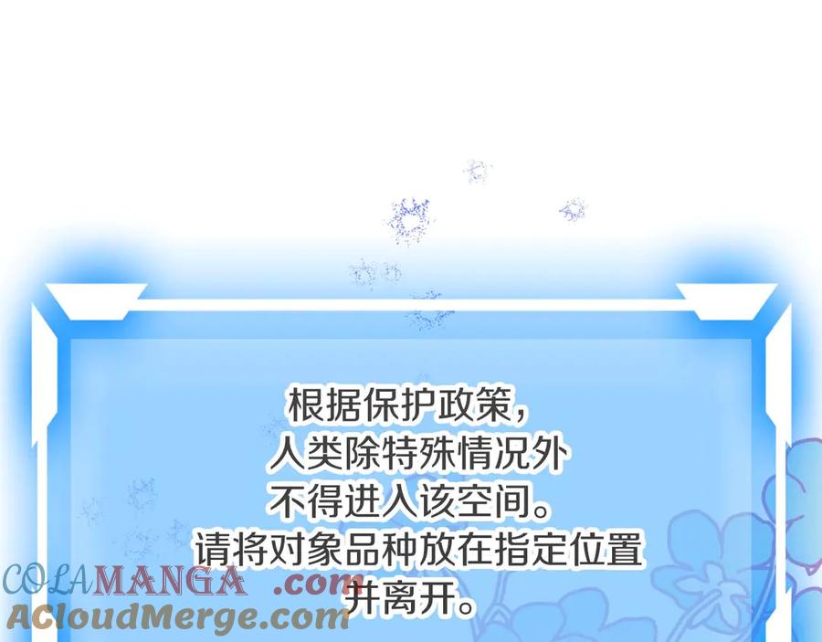 《钻石小姐历险记》第78话 关于我闯入敌人大本营后遇到个傻树精这件事 第81页