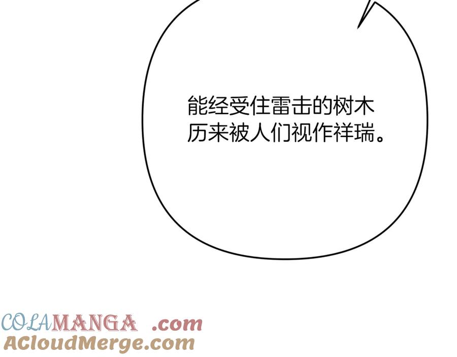 《钻石小姐历险记》第78话 关于我闯入敌人大本营后遇到个傻树精这件事 第197页