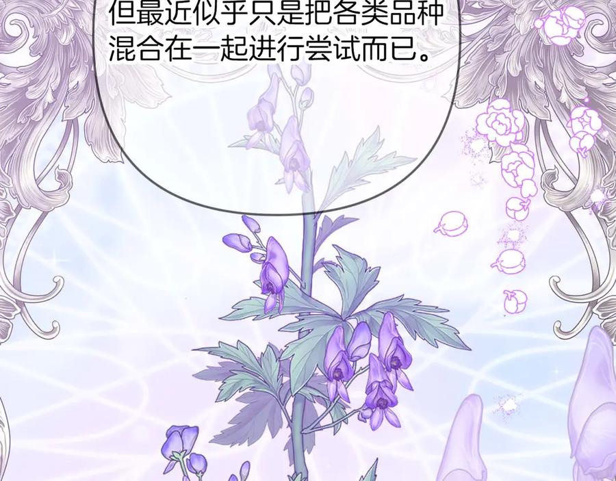 《钻石小姐历险记》第78话 关于我闯入敌人大本营后遇到个傻树精这件事 第163页