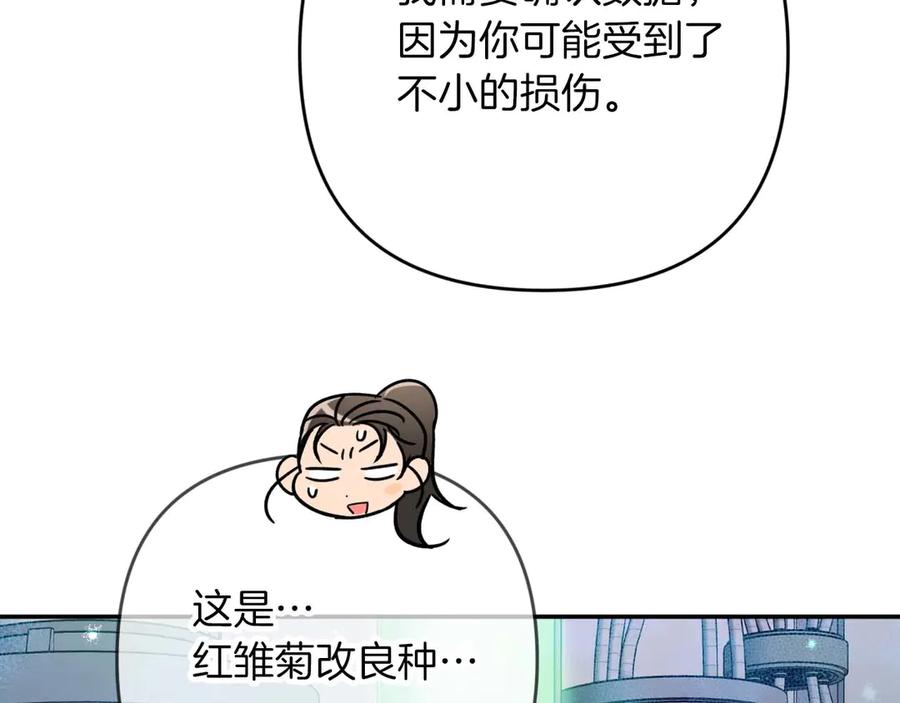 《钻石小姐历险记》第78话 关于我闯入敌人大本营后遇到个傻树精这件事 第134页
