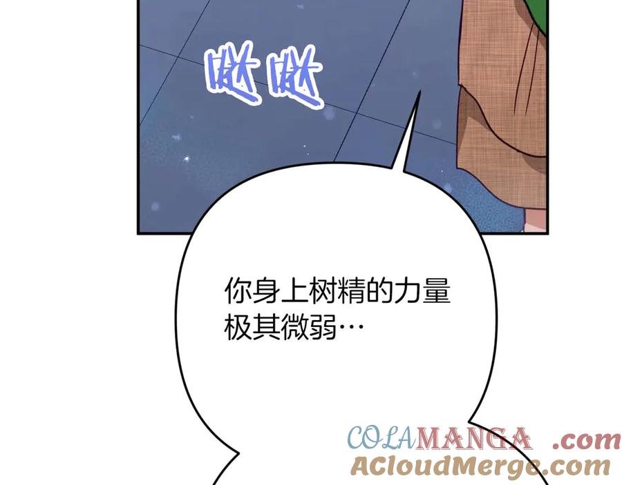 《钻石小姐历险记》第78话 关于我闯入敌人大本营后遇到个傻树精这件事 第157页