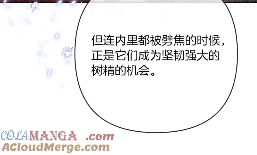 《钻石小姐历险记》第78话 关于我闯入敌人大本营后遇到个傻树精这件事 第201页