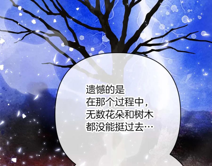 《钻石小姐历险记》第78话 关于我闯入敌人大本营后遇到个傻树精这件事 第200页
