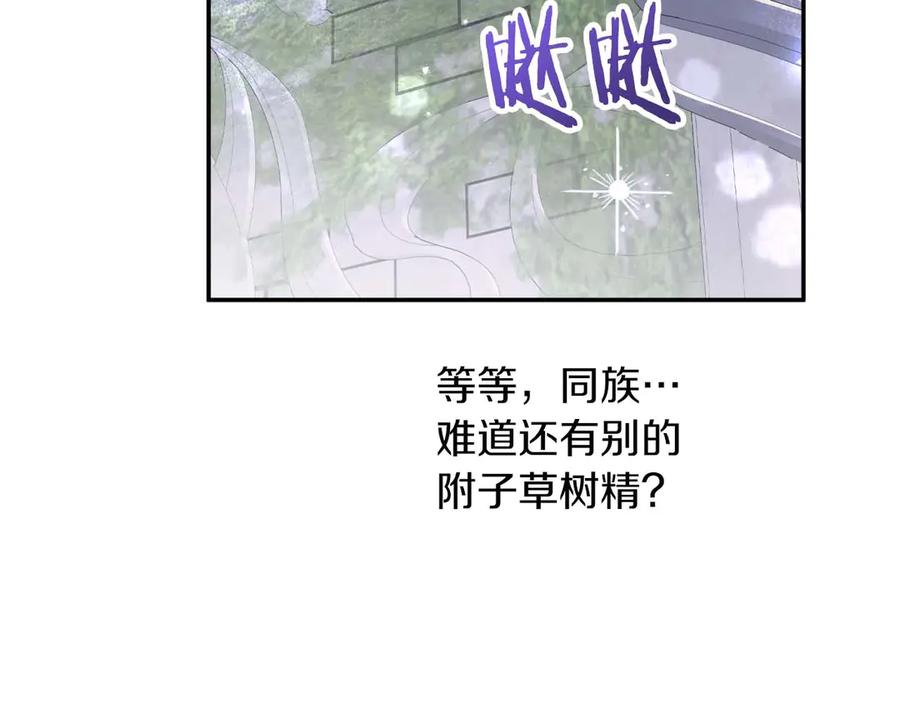 《钻石小姐历险记》第78话 关于我闯入敌人大本营后遇到个傻树精这件事 第63页