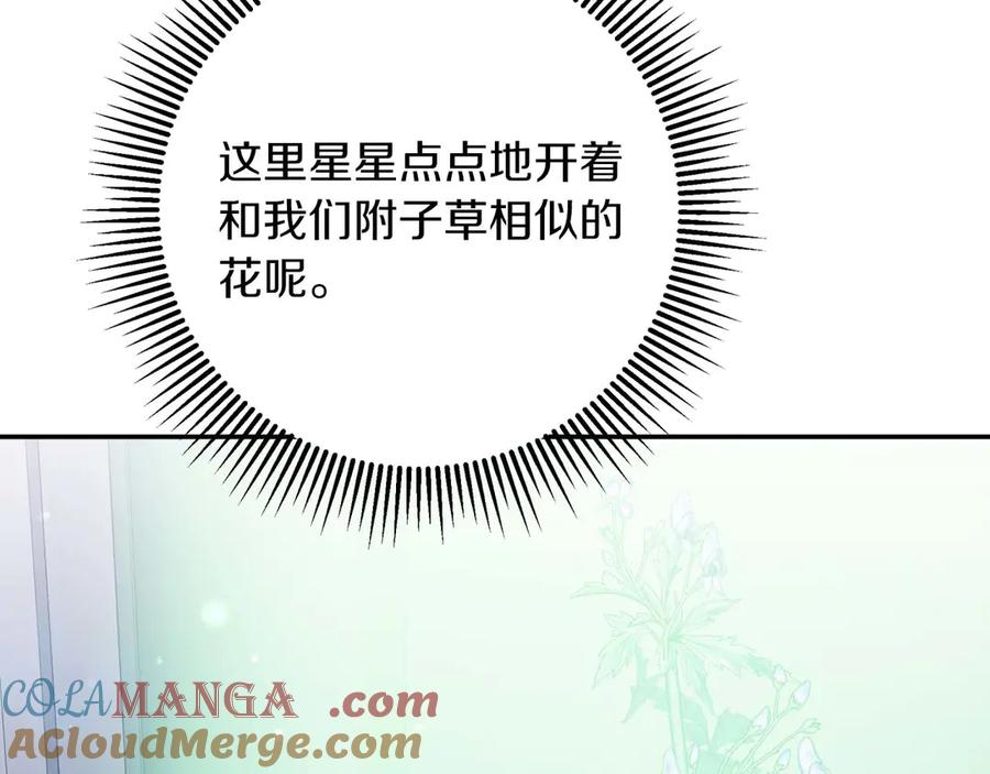 《钻石小姐历险记》第78话 关于我闯入敌人大本营后遇到个傻树精这件事 第169页