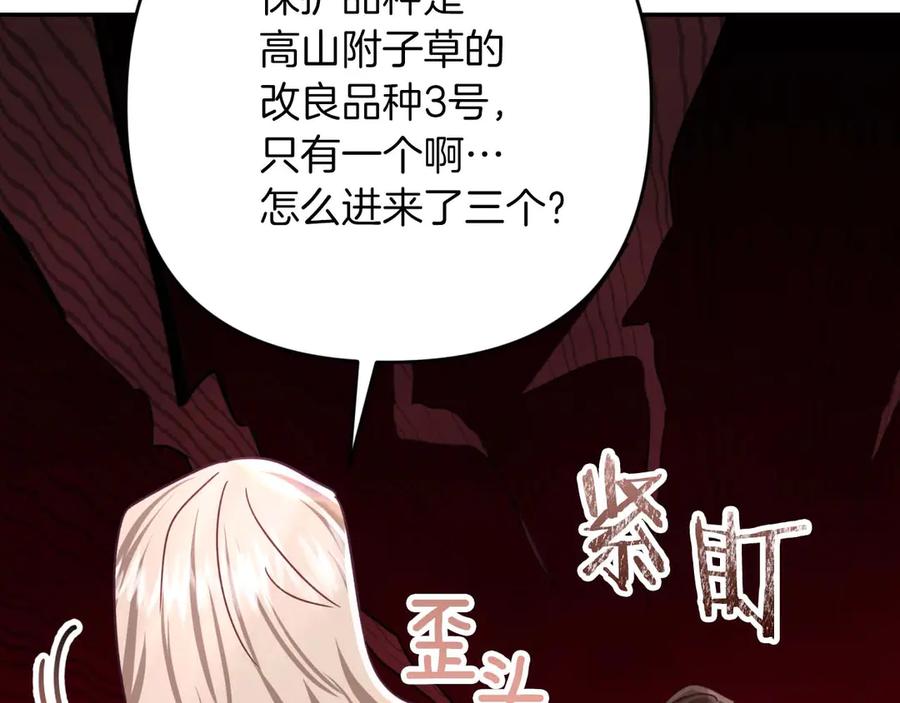 《钻石小姐历险记》第78话 关于我闯入敌人大本营后遇到个傻树精这件事 第114页