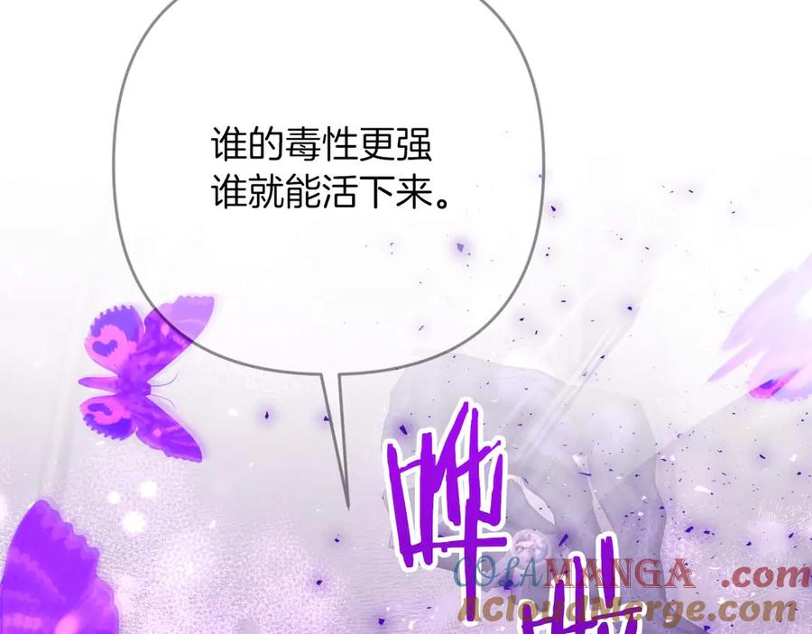 《钻石小姐历险记》第79话 附子草之间的对决 第117页