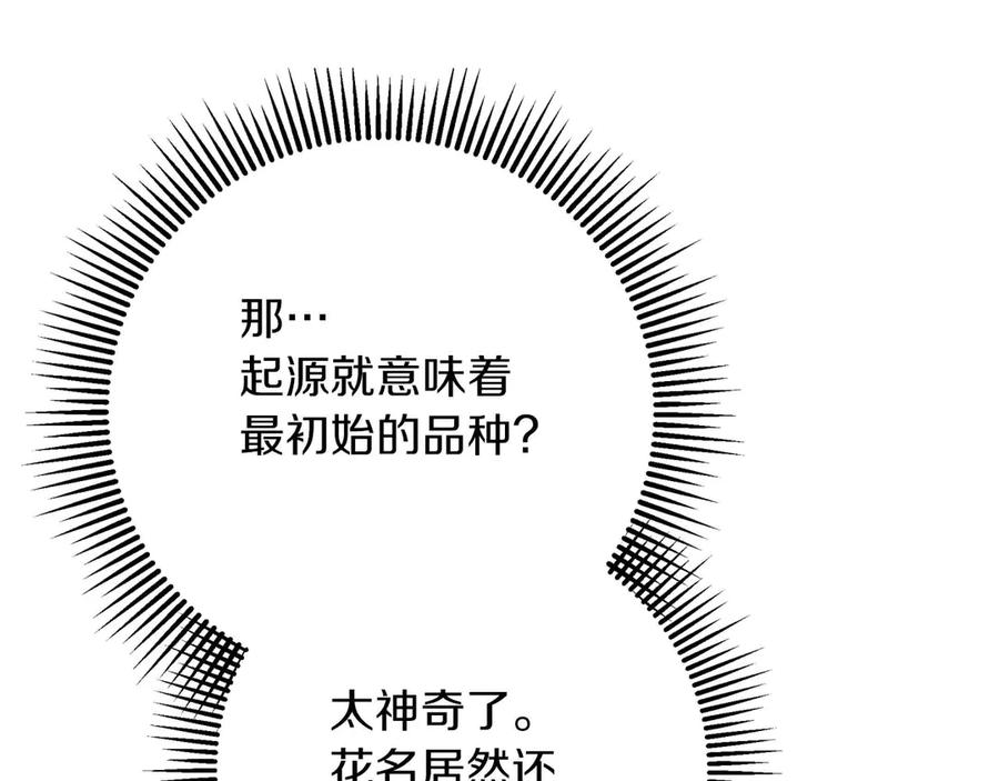 《钻石小姐历险记》第80话 变成木炭的世界树 第95页