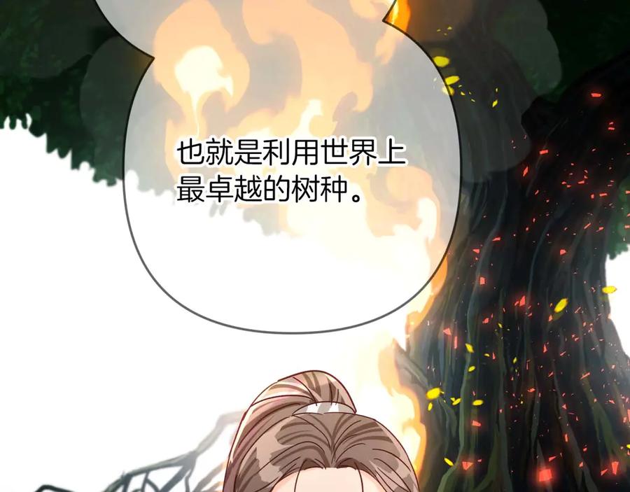 《钻石小姐历险记》第80话 变成木炭的世界树 第204页