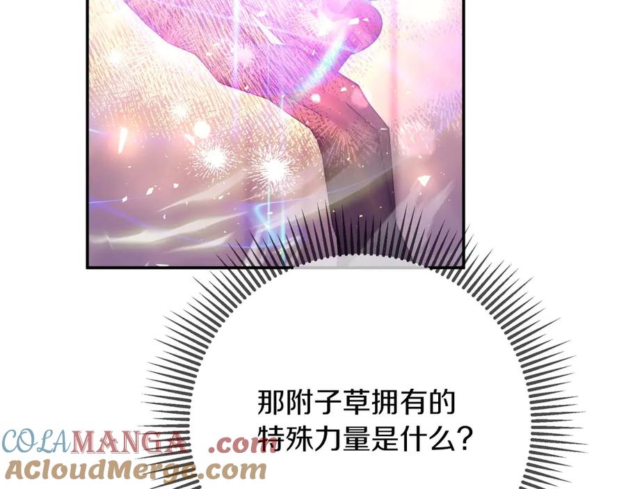 《钻石小姐历险记》第80话 变成木炭的世界树 第33页