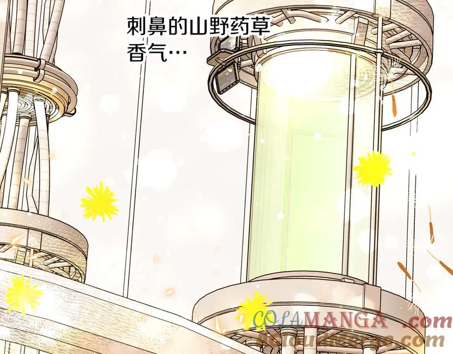 《钻石小姐历险记》第80话 变成木炭的世界树 第41页