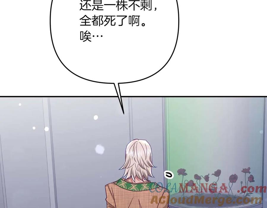 《钻石小姐历险记》第80话 变成木炭的世界树 第121页
