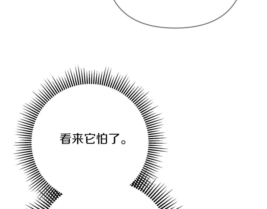 《钻石小姐历险记》第80话 变成木炭的世界树 第148页