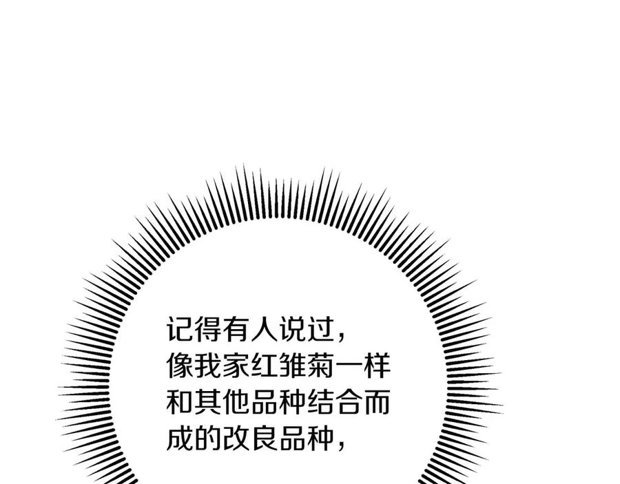 《钻石小姐历险记》第80话 变成木炭的世界树 第28页