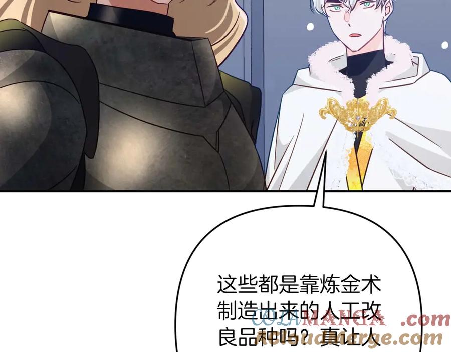 《钻石小姐历险记》第80话 变成木炭的世界树 第125页