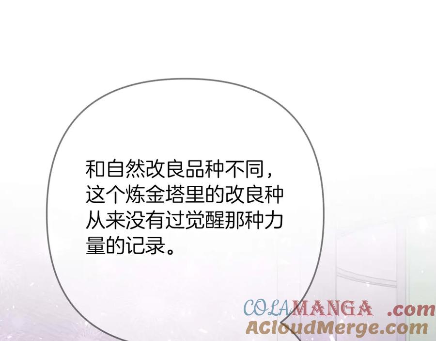 《钻石小姐历险记》第80话 变成木炭的世界树 第25页