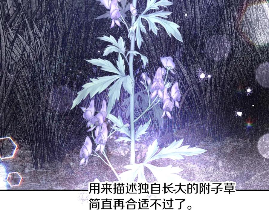《钻石小姐历险记》第80话 变成木炭的世界树 第111页