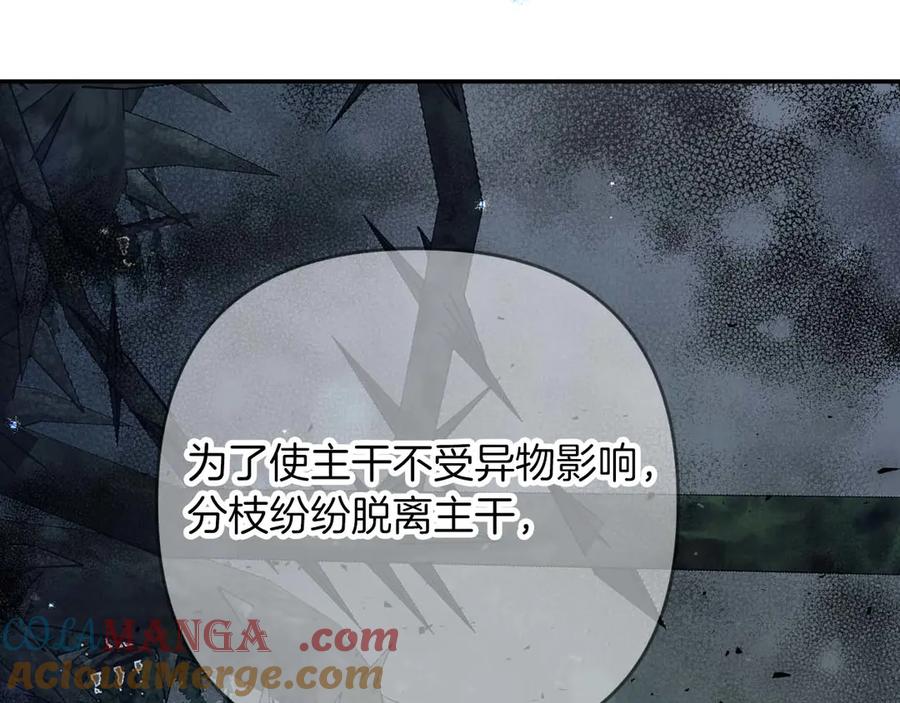 《钻石小姐历险记》第81话 世界树的请求 第41页