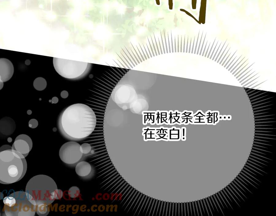 《钻石小姐历险记》第81话 世界树的请求 第149页