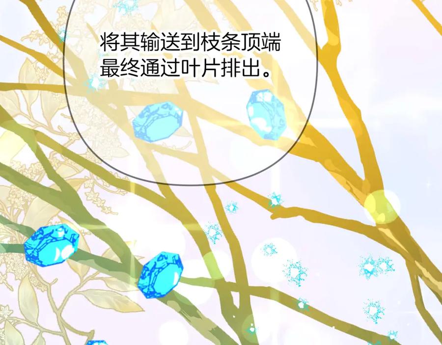 《钻石小姐历险记》第81话 世界树的请求 第38页